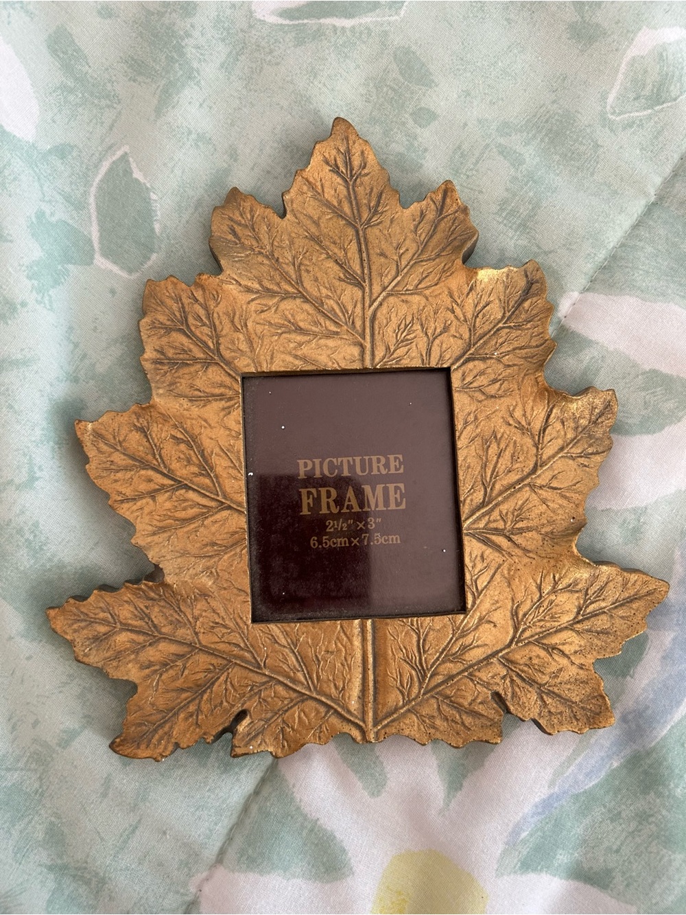The Bombay Company Gold Leaf Picture Frame